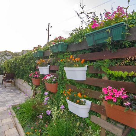 Village Holiday Apartman With Heated Pool Maslina Kostanje Zewnętrze zdjęcie